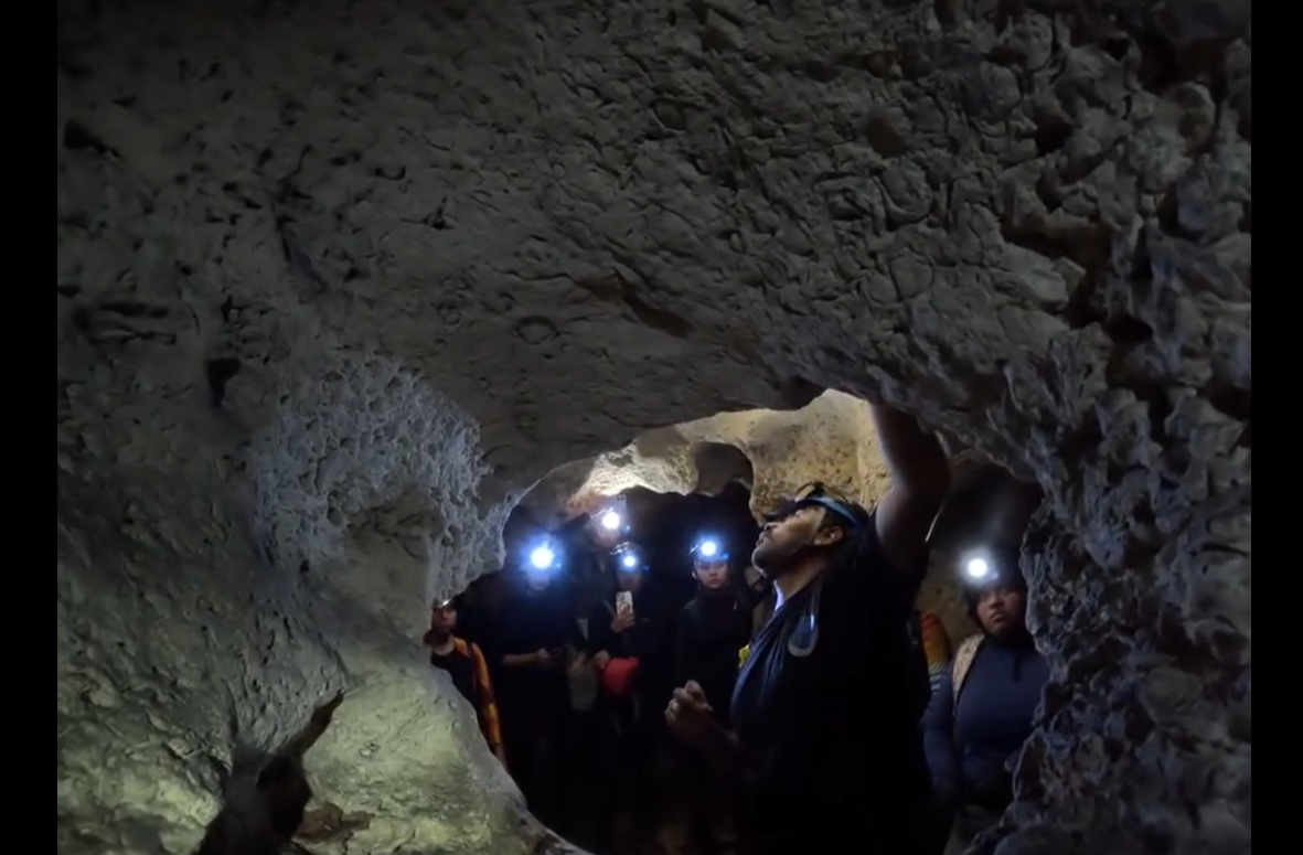 Estudiantes de la ENES Unidad Mérida UNAM descienden a cuevas de Yucatán para estudiar ecosistemas subterráneos. Ciencia en acción.