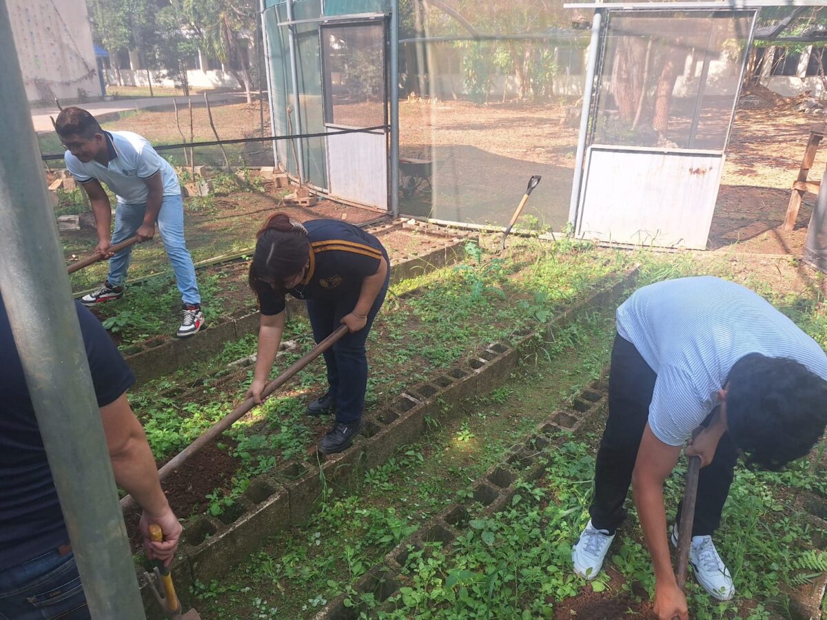 UADY refuerza su compromiso ambiental con educación ambiental y sustentabilidad en el Día Mundial del Medio Ambiente.