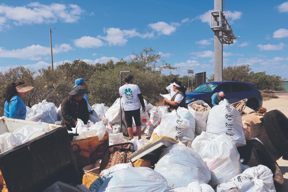 Yucatán arranca estrategia de limpieza de playas en Progreso para frenar el daño del plástico en ecosistemas marinos.
