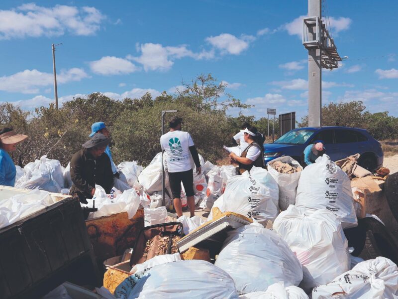 Yucatán arranca estrategia de limpieza de playas en Progreso para frenar el daño del plástico en ecosistemas marinos.