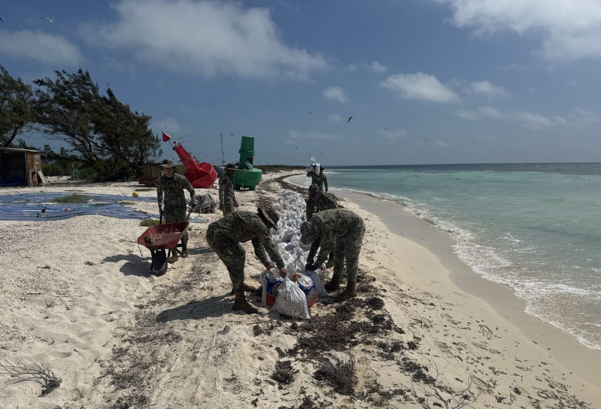 La Marina y CONANP instalan barreras para mitigar la erosión costera en Isla Pérez, Yucatán. Recuperan playa del Arrecife Alacranes.
