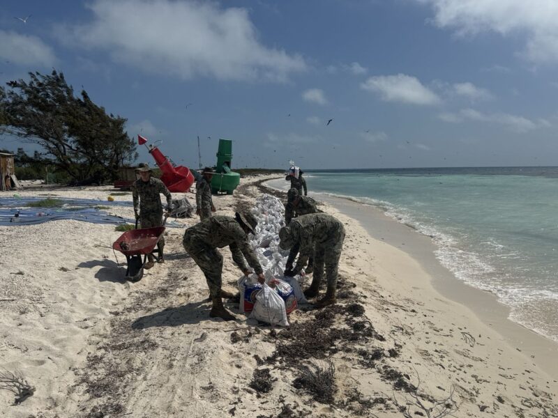 La Marina y CONANP instalan barreras para mitigar la erosión costera en Isla Pérez, Yucatán. Recuperan playa del Arrecife Alacranes.