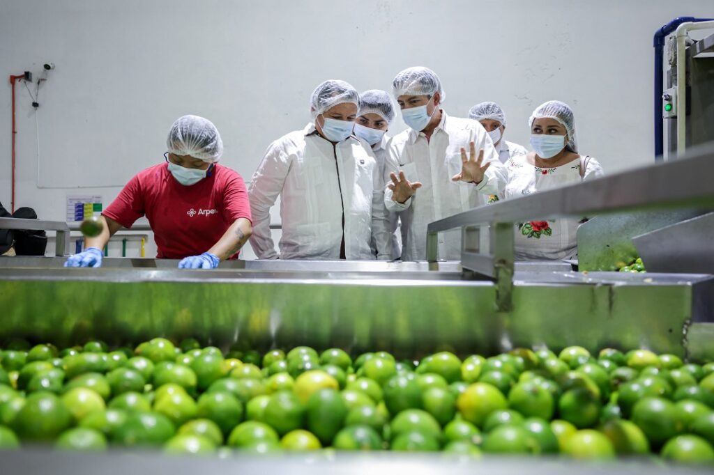 Banderazo a temporada citrícola en Yucatán