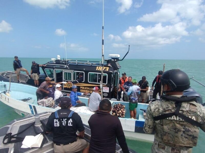 Frenan pesca furtiva en Celestún con operativo conjunto. Gobierno del Renacimiento Maya refuerza vigilancia costera. Pesca furtiva en Yucatán