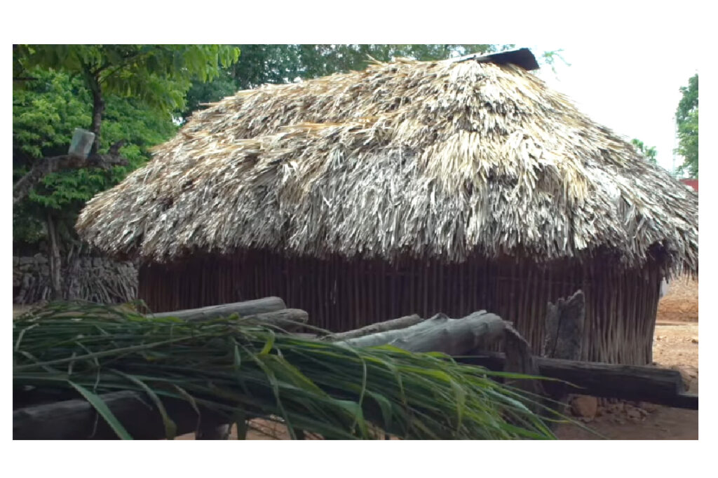 UADY impulsa el rescate de la casa maya, símbolo ancestral en riesgo. Buscan que sea Patrimonio Inmaterial de la Humanidad por la UNESCO.