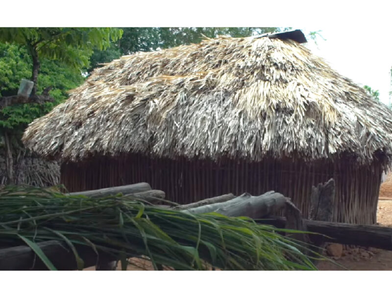 UADY impulsa el rescate de la casa maya, símbolo ancestral en riesgo. Buscan que sea Patrimonio Inmaterial de la Humanidad por la UNESCO.