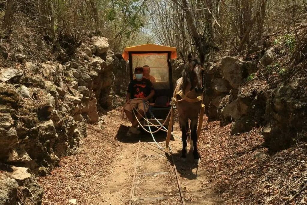 Cenotes de Yucatán que debes visitar