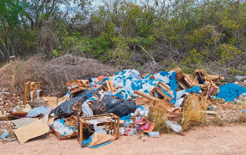¿A cuánto asciende la multa por tirar basura en calles de Mérida?
