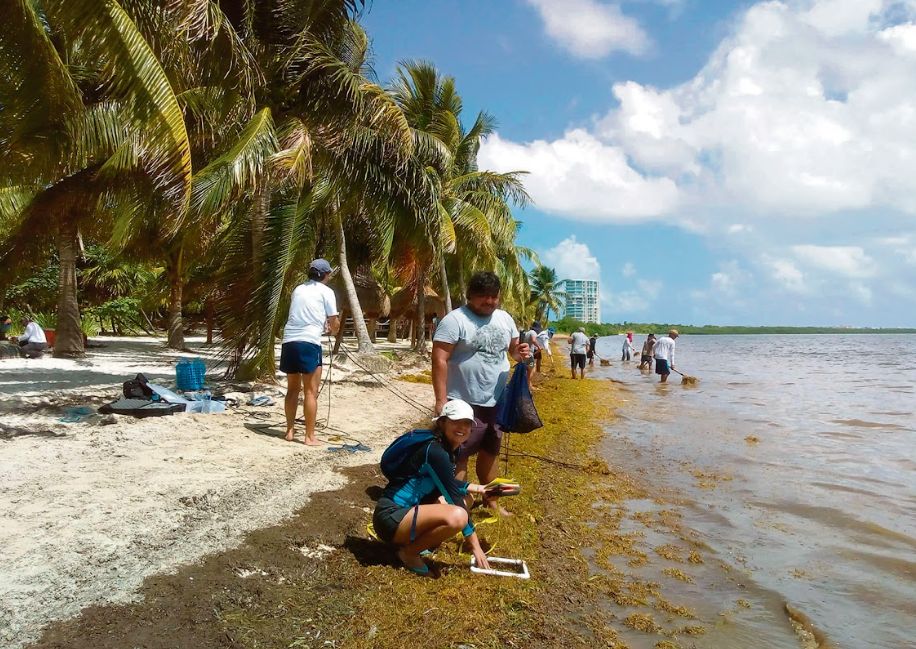Yucatán se suma a la búsqueda de soluciones por sargazo