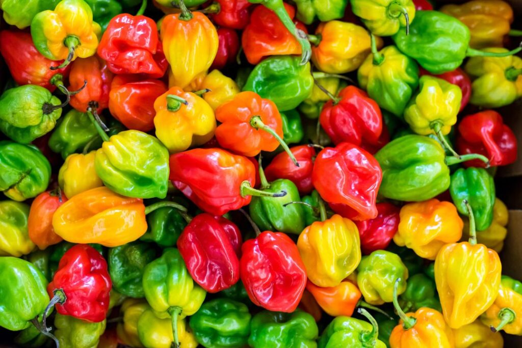 Beneficios del chile habanero: más allá del sabor