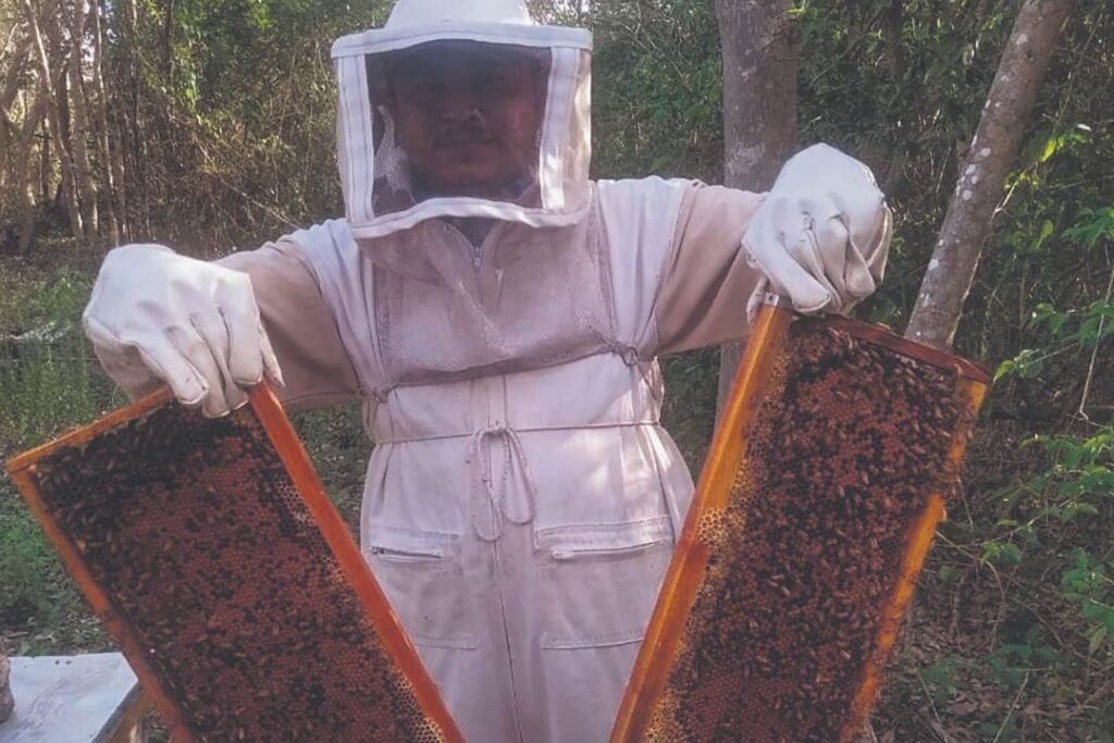 Habrá apoyo histórico para los apicultores el Estado