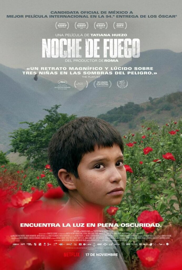 Nuevas voces del cine mexicano