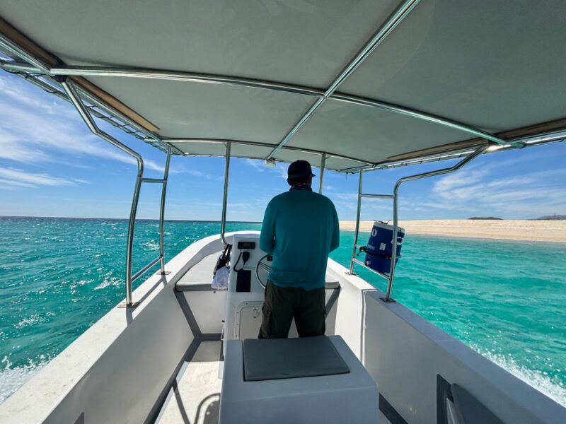 Pescadores de Agua Amarga sustituyen la pesca de tiburón por turismo sostenible para conservar el mar y generar nuevos ingresos.