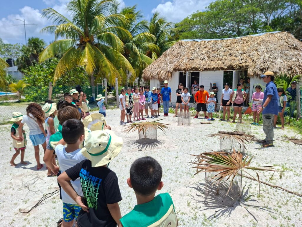 Promueven cuidado de tortugas marinas entre infancias de Yucatán