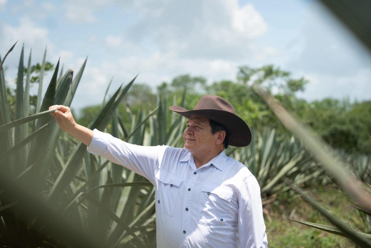 Productores de Bokobá reciben más de 3.8 mdp para rescatar el henequén. También se anuncian obras, caminos, pozos y viviendas para la comunidad.