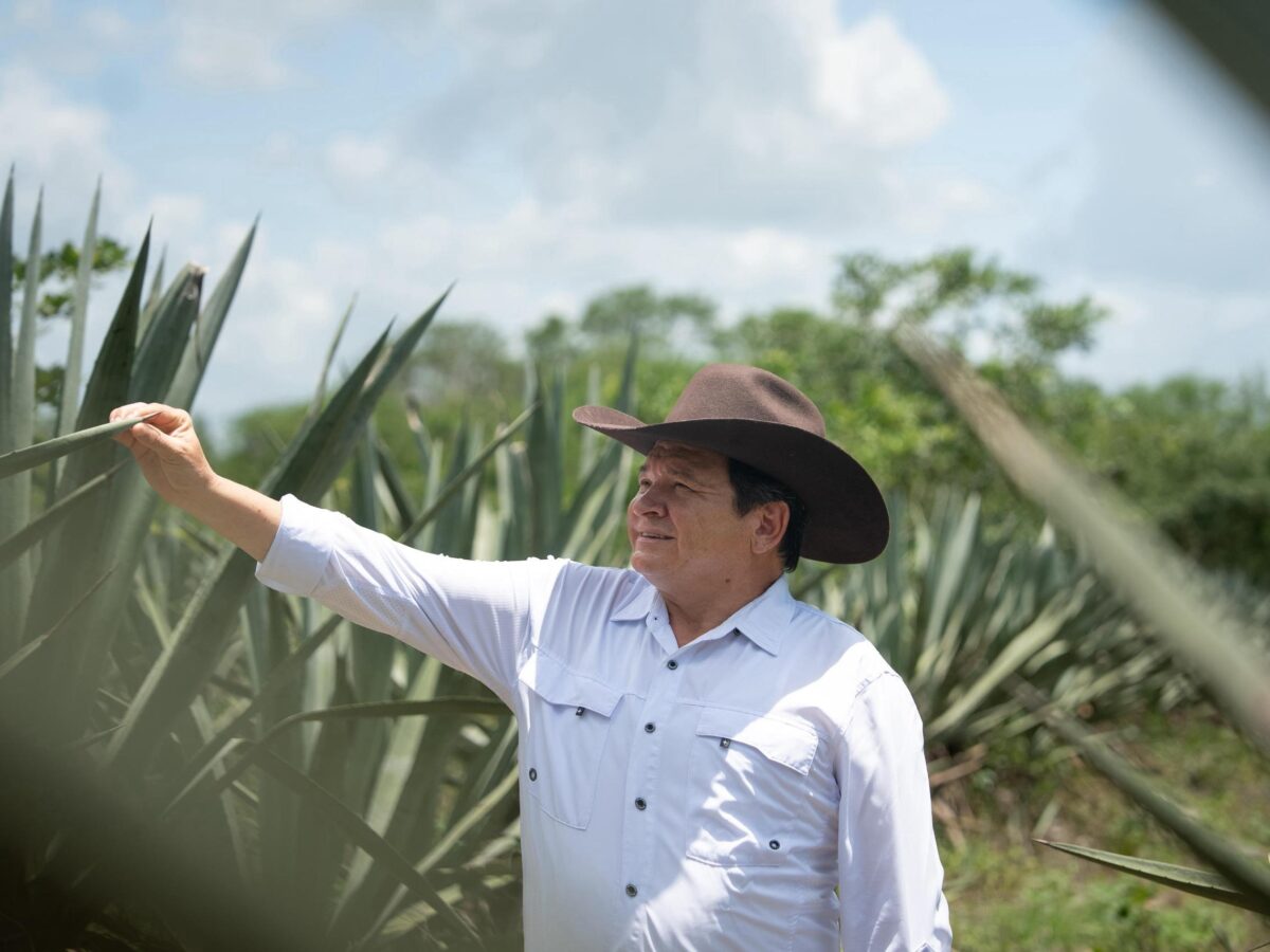 Productores de Bokobá reciben más de 3.8 mdp para rescatar el henequén. También se anuncian obras, caminos, pozos y viviendas para la comunidad.