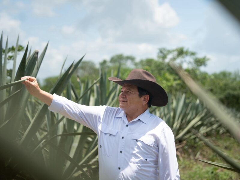 Productores de Bokobá reciben más de 3.8 mdp para rescatar el henequén. También se anuncian obras, caminos, pozos y viviendas para la comunidad.