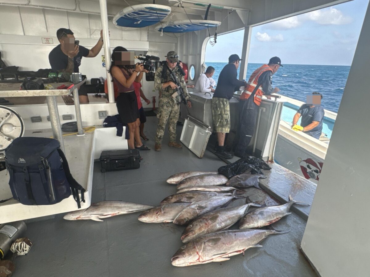 Refuerzan vigilancia contra pesca furtiva en Yucatán, especialmente del pepino de mar, con operativos en coordinación con la SSP y Conapesca.