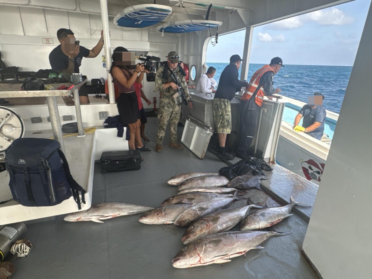 Refuerzan vigilancia contra pesca furtiva en Yucatán, especialmente del pepino de mar, con operativos en coordinación con la SSP y Conapesca.