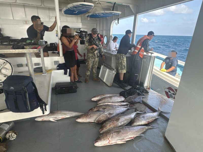Refuerzan vigilancia contra pesca furtiva en Yucatán, especialmente del pepino de mar, con operativos en coordinación con la SSP y Conapesca.