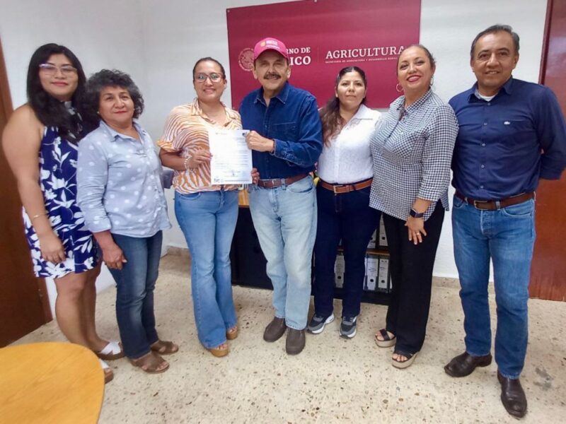 Registran la primera agrupación de mujeres productoras ganaderas en Yucatán, marcando un hito nacional en el sector agropecuario.