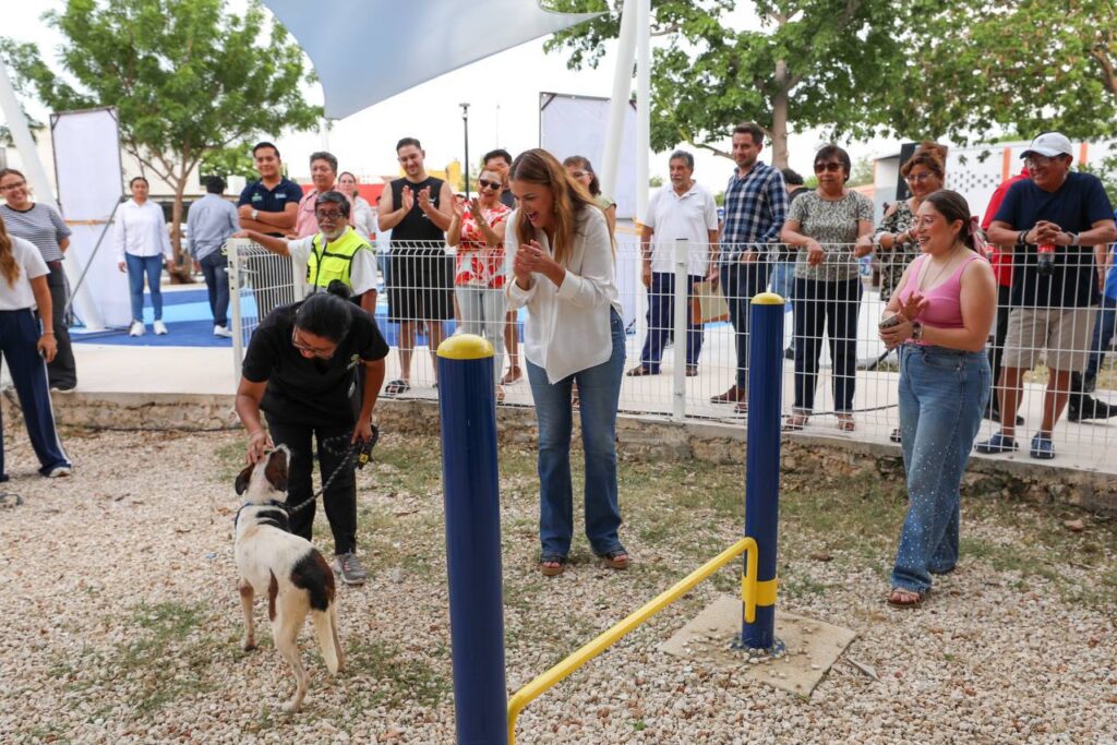Vecinos de Mérida deciden obras públicas con "Diseña tu Ciudad 2024"