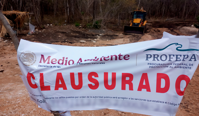 Profepa clausura predio forestal en Escárcega, Campeche, tras detectar desmontes ilegales en 4.96 hectáreas y asegurar maquinaria pesada.