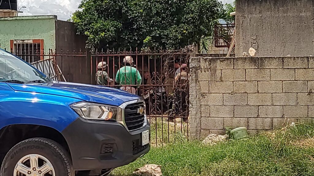 Policía Ecológica de Kanasín atiende presunto caso de maltrato animal