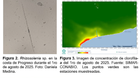Laboratorio de Producción Primaria Cinvestav-Mérida
