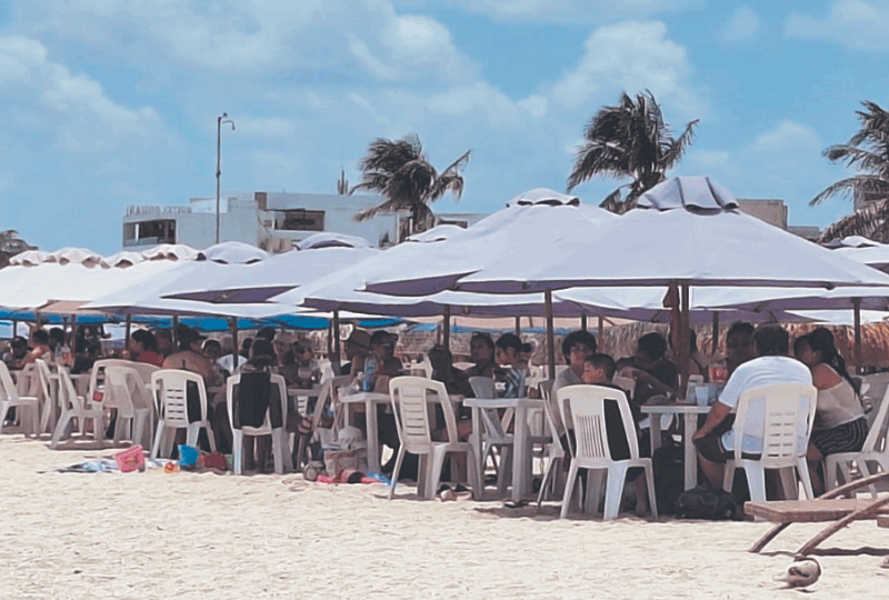 Canirac Yucatán garantiza la calidad de pescados y mariscos ante presencia de algas nocivas en la costa entre Chelem y Chuburná.