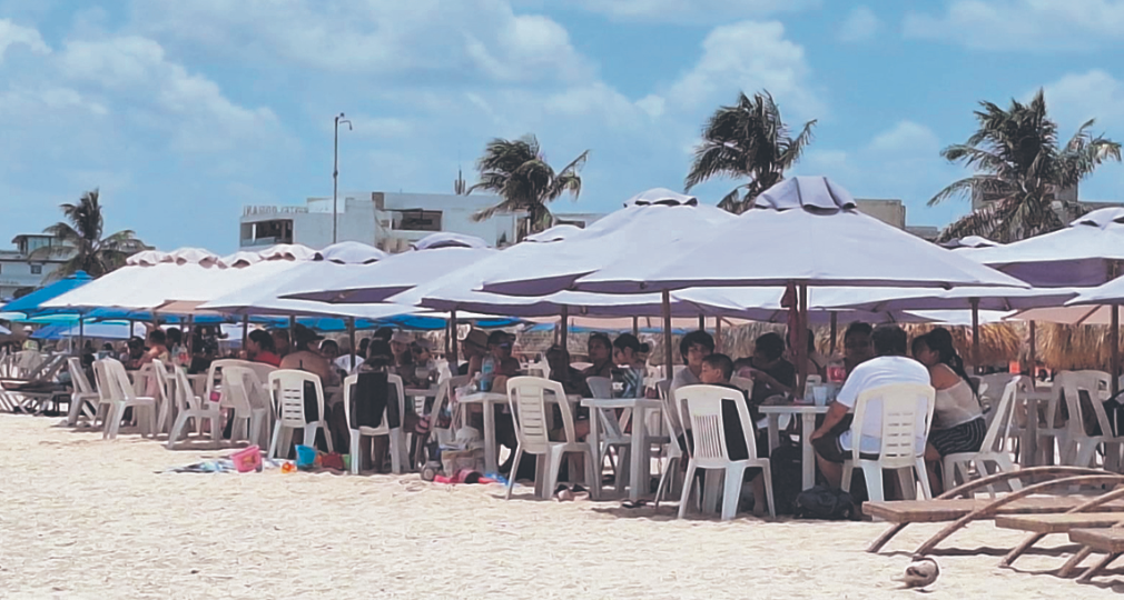 Canirac Yucatán garantiza la calidad de pescados y mariscos ante presencia de algas nocivas en la costa entre Chelem y Chuburná.