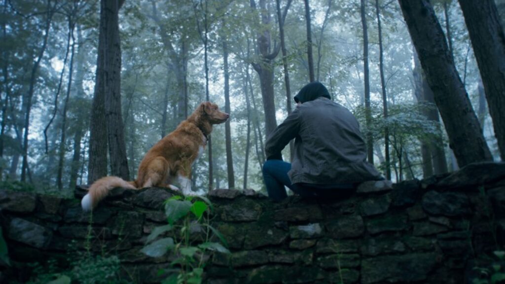 Good Boy: la película donde un perro enfrenta lo sobrenatural