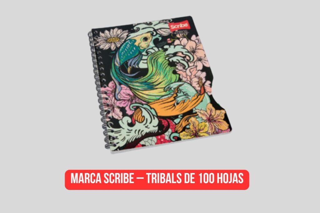 Cuadernos mejor calificados por Profeco para el regreso a clases 2025