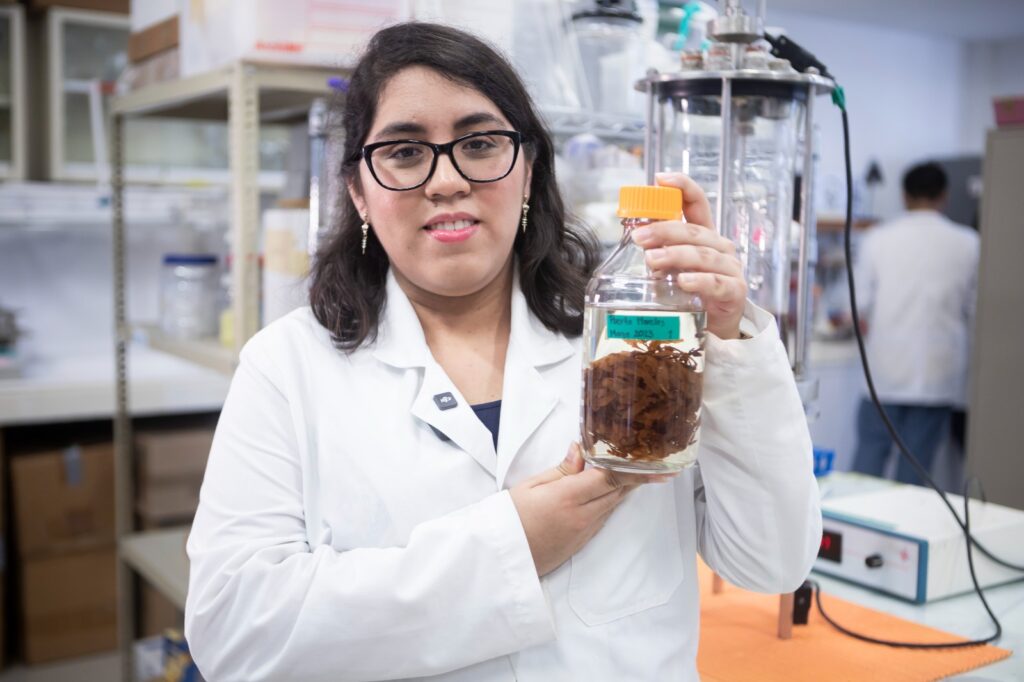 Yucatán impulsa 15 investigaciones activas para aprovechar el sargazo
