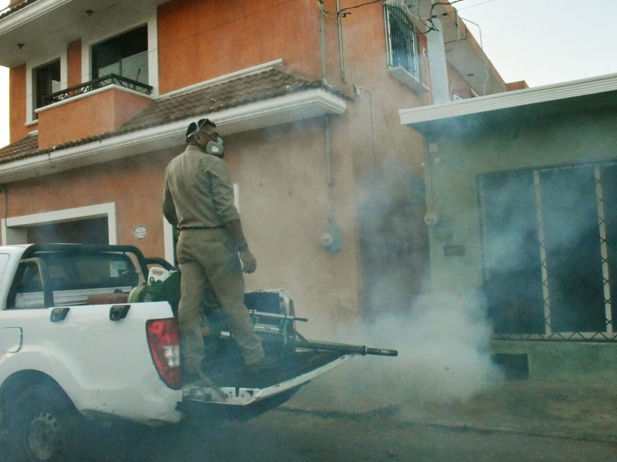 Yucatán reduce 43.6% los casos de dengue con operativos de fumigación, control larvario y eliminación de criaderos en todo el estado.