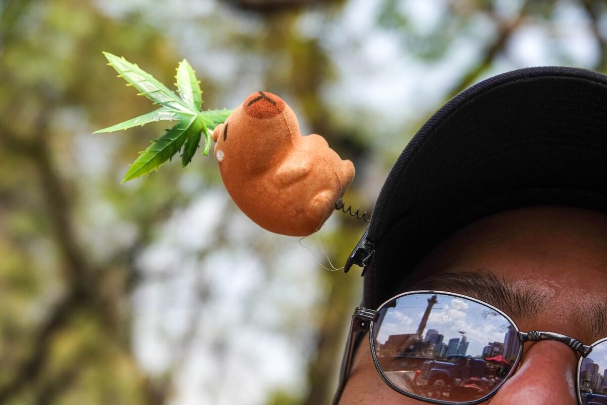 CDMX reubica puntos de tolerancia para marihuana; autoridades y colectivos acuerdan nuevas reglas para conservar estos espacios.