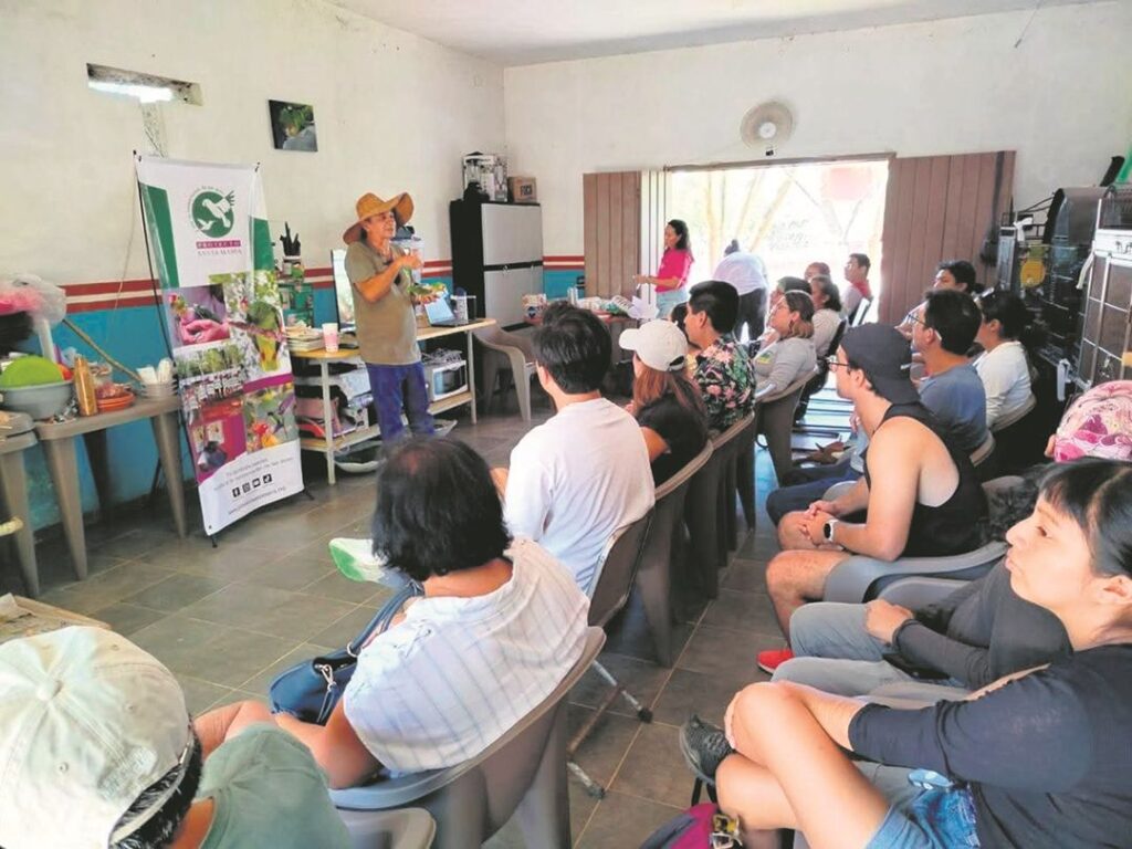 Proyecto Santa María impulsa talleres escolares para proteger loros en Yucatán