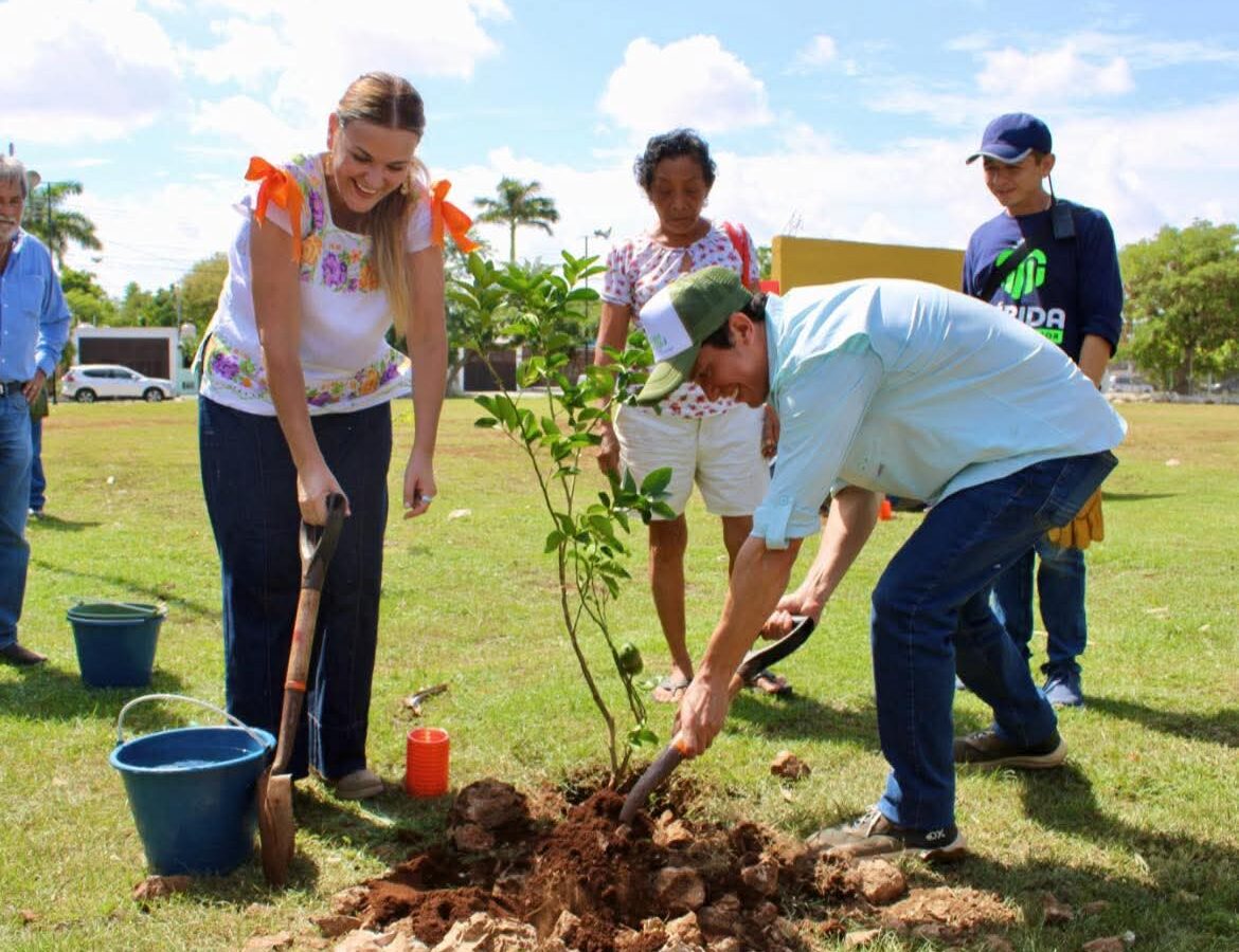 Reforestación en Mérida, ciudad verde: siembran 10 mil árboles y crean corredores verdes
