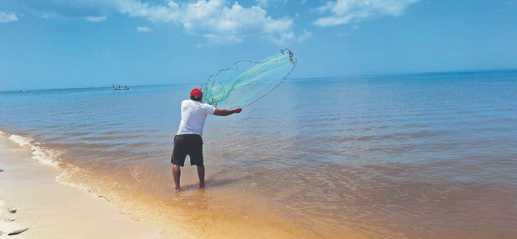 Aguas contaminadas y deforestación detonan marea roja en Yucatán
