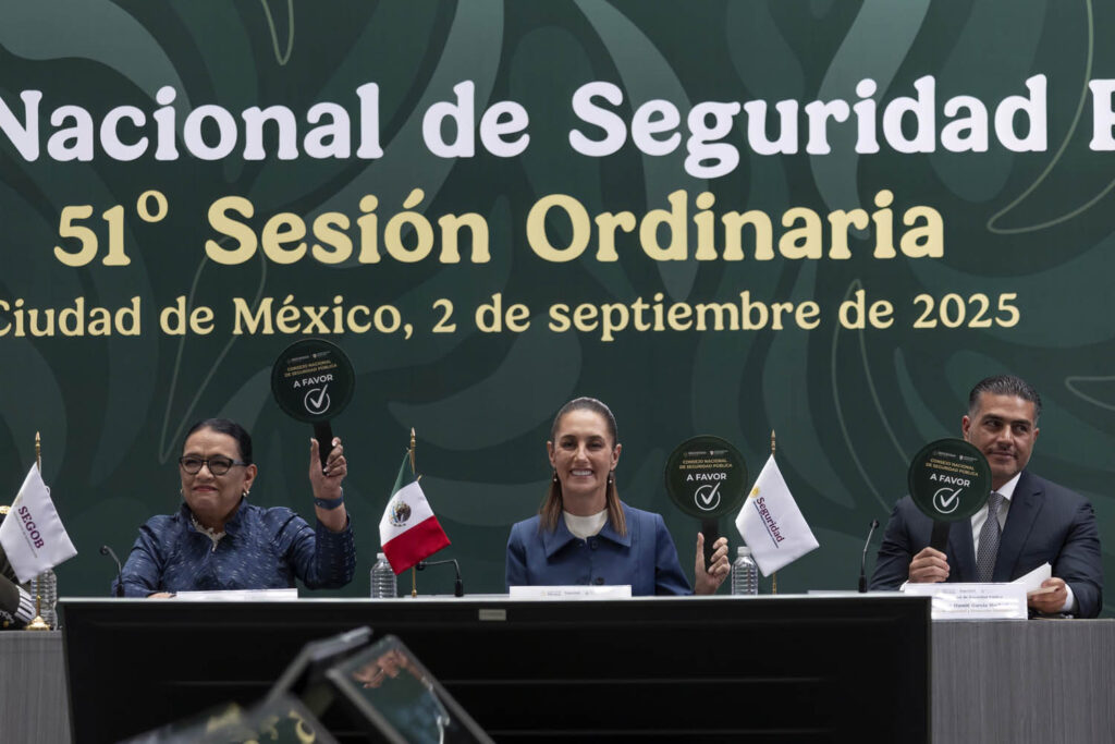Consejo Nacional de Seguridad aprueba medidas para proteger a la ciudadanía