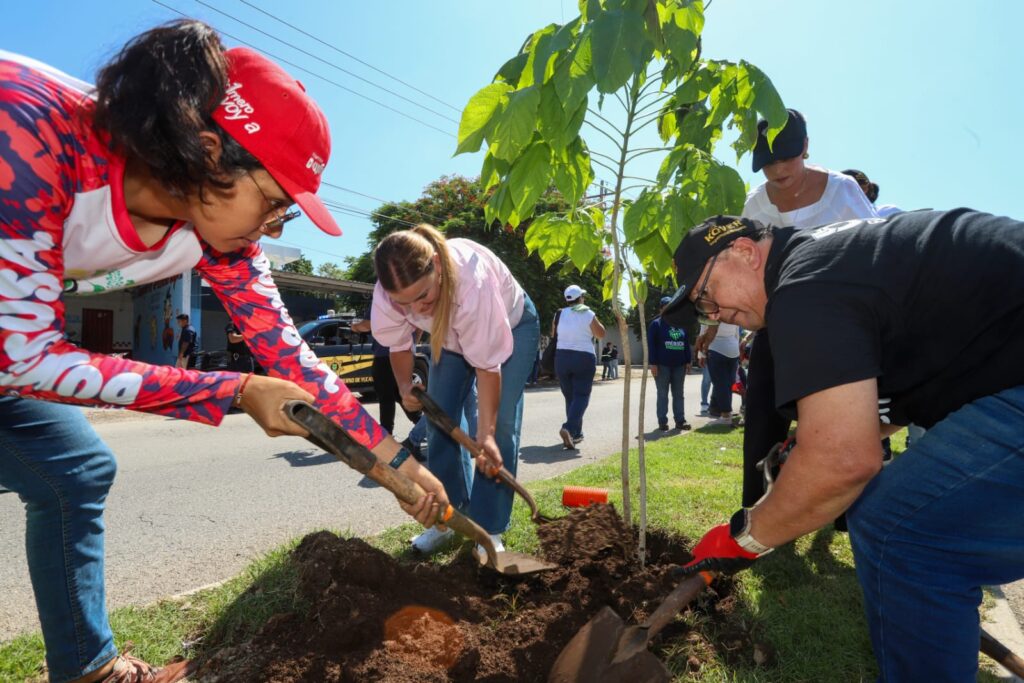 Mérida refuerza su infraestructura verde con declaratoria de ceiba