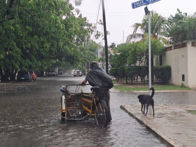 Apagón paraliza Yucatán con calles inundadas, comercios cerrados e incomunicación
