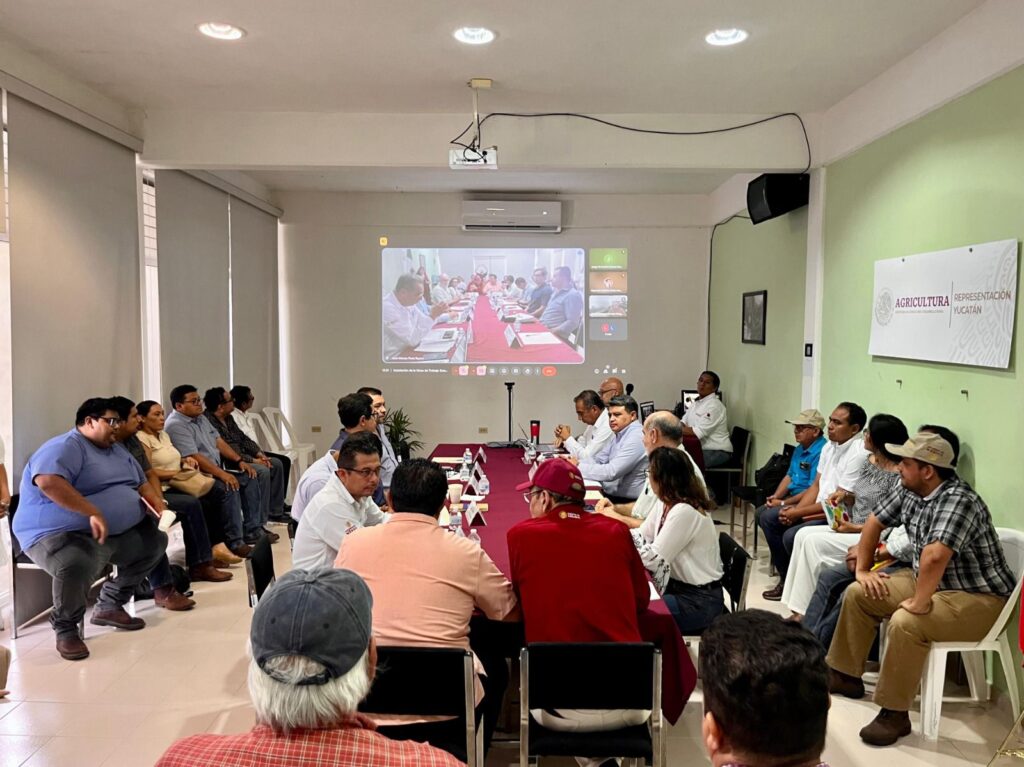 Instalan mesa de Trabajo “Maíz–Tortilla” en Yucatán para frenar el alza de precios