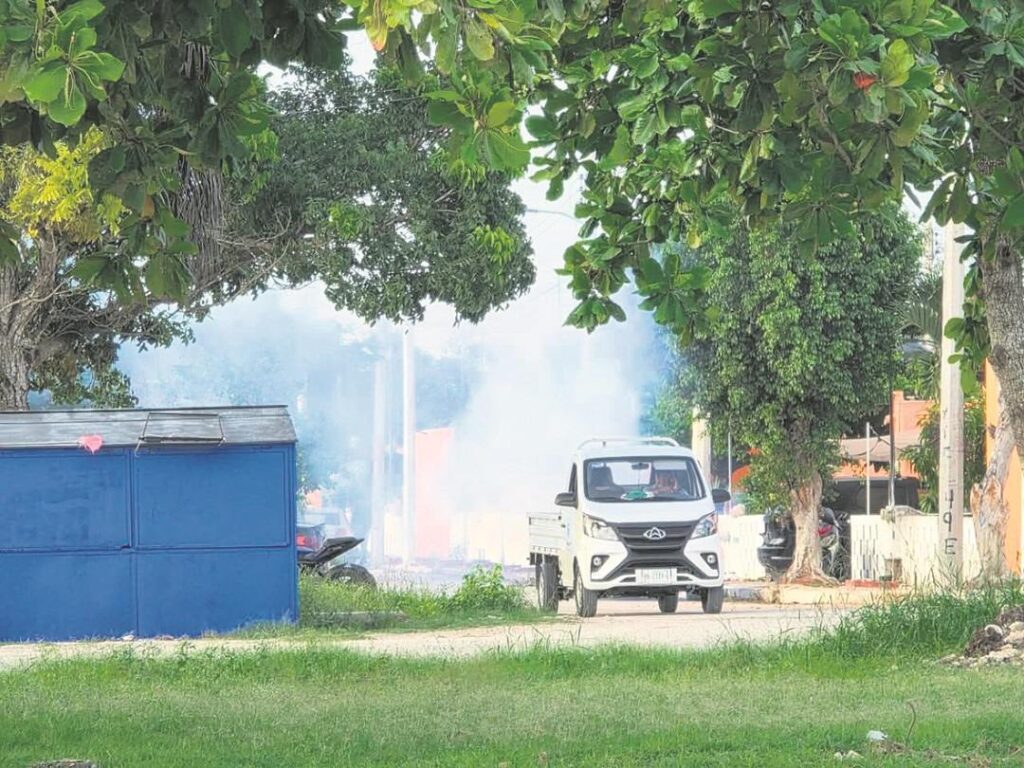 SSY intensifica fumigación ante proliferación de mosquito de la ciénega