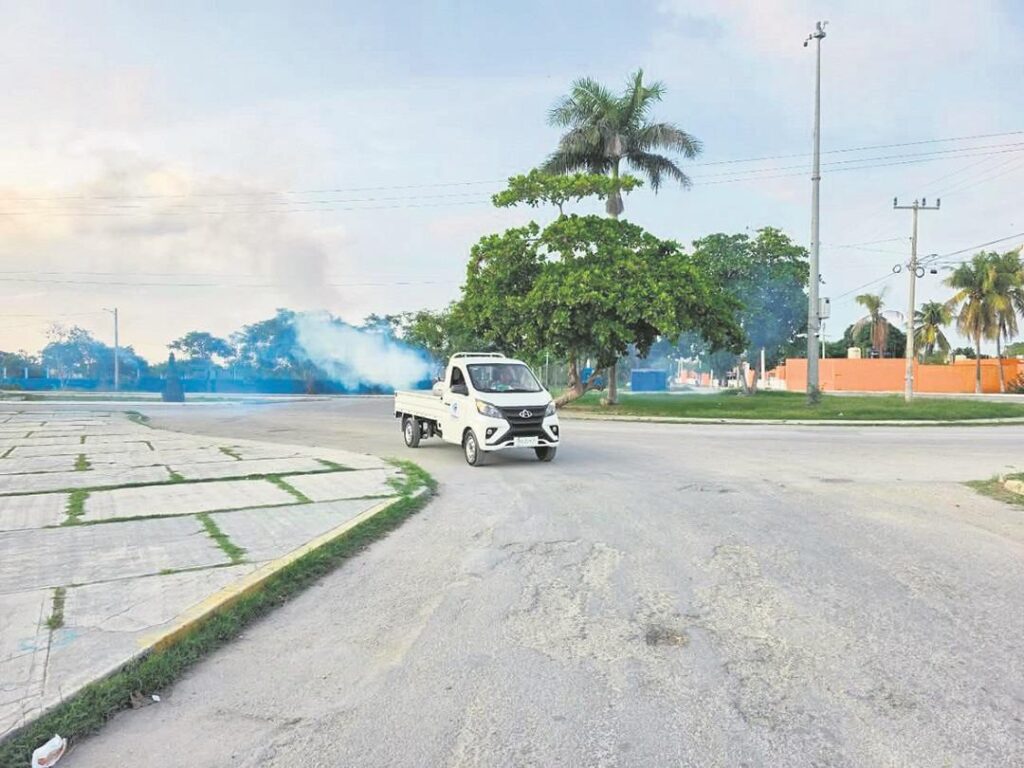 SSY intensifica fumigación ante proliferación de mosquito de la ciénega