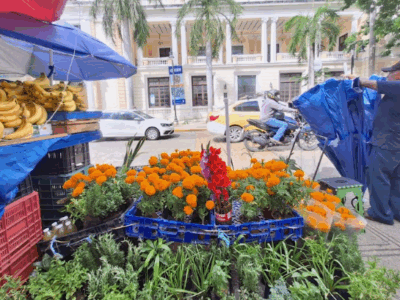 Mérida se pinta de cempasúchil
