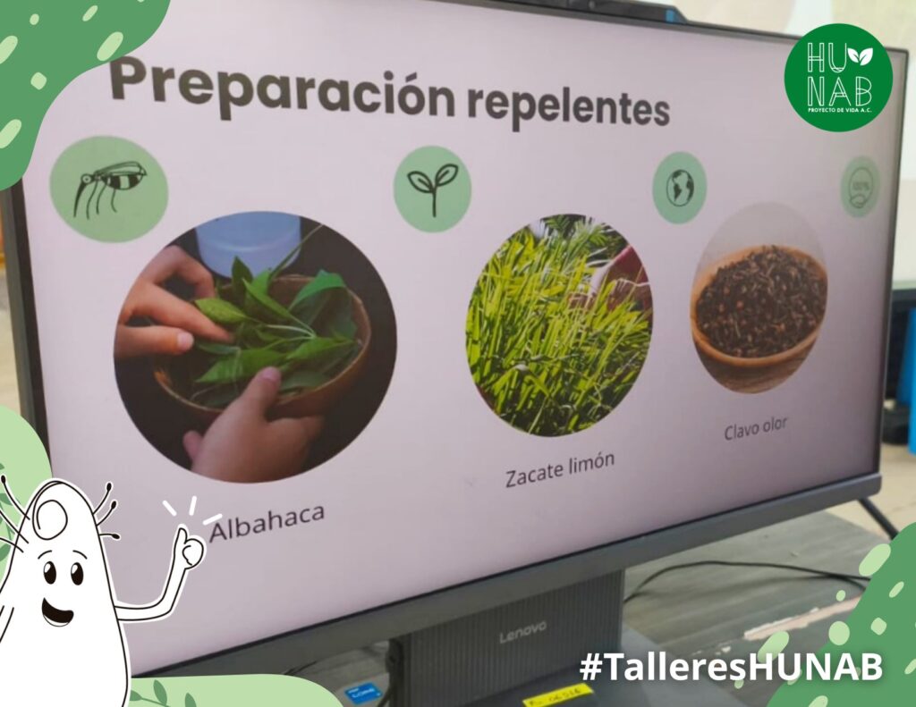 Enseñan a reconectar con la naturaleza y saberes mayas