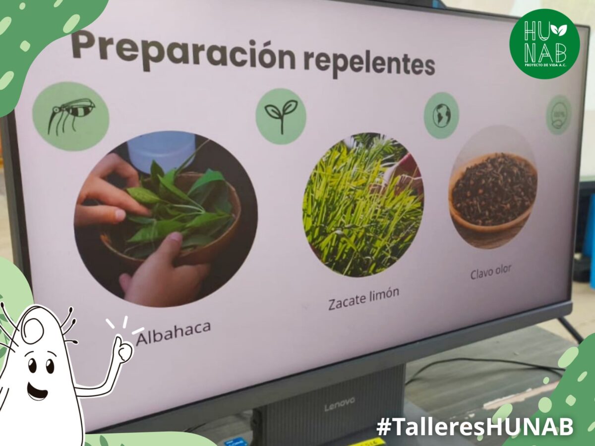 Enseñan a reconectar con la naturaleza y saberes mayas