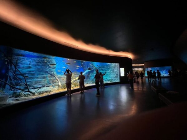 Bioparque Pantanal: el acuario de agua dulce más grande del mundo