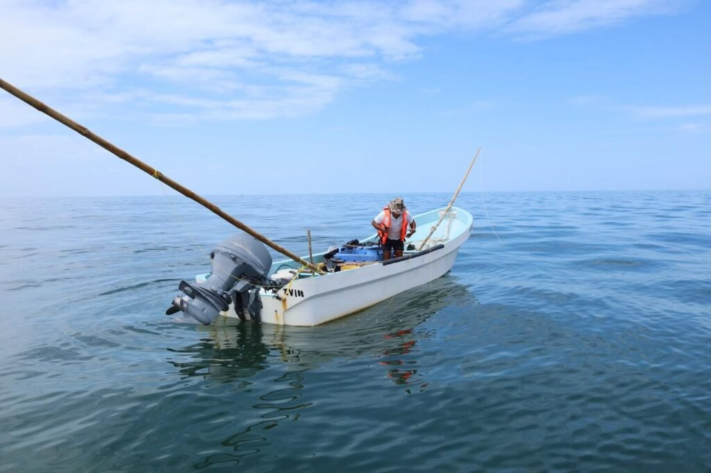 Entregarán apoyos económicos a pescadores de Yucatán ¿En qué consiste?